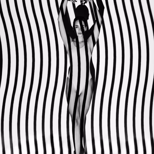 Monochroma Élevé