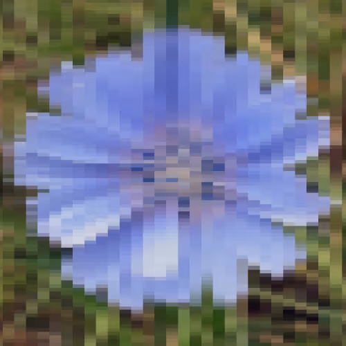 Retired Wildflowers