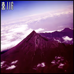 Bloc 喜116: Flexibility