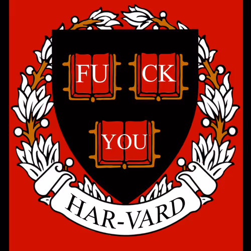 Licence To Meme