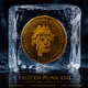 FROZEN PUNK 1501 -  THE LOST  EXPLORER