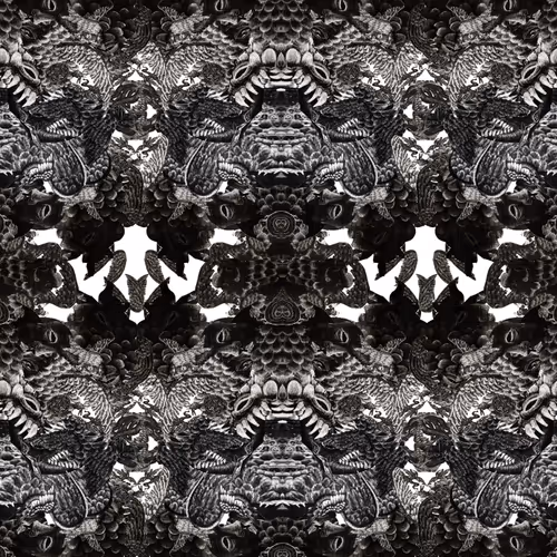 Cycles of Life Chapter 5  The Deep