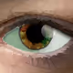 RarefiedEyes #6521