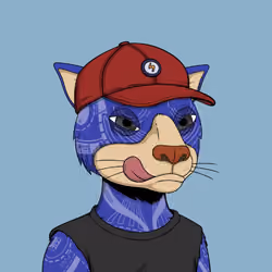 Okay Cats #4292