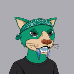 Okay Cats #5063