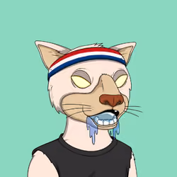 Okay Cats #4865