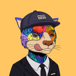 Okay Cats #123