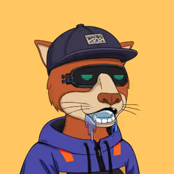 Okay Cats #4218