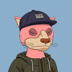 Okay Cats #3755