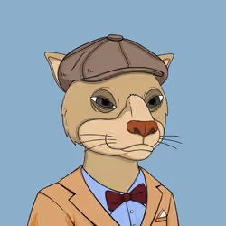 Okay Cats #5255