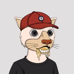 Okay Cats #3893