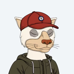 Okay Cats #124