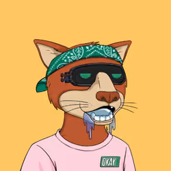 Okay Cats #5139