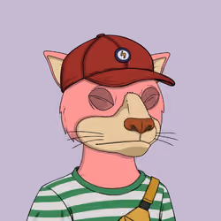 Okay Cats #3417