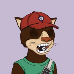 Okay Cats #4217