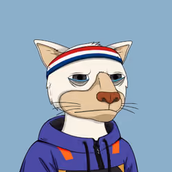 Okay Cats #5088