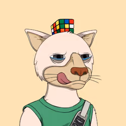 Okay Cats #4909