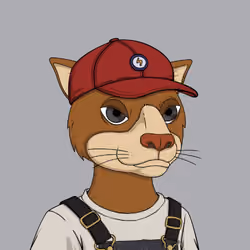 Okay Cats #5234