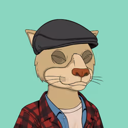 Okay Cats #3410
