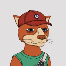 Okay Cats #5291