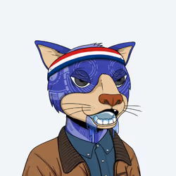 Okay Cats #5140