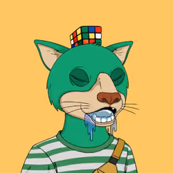 Okay Cats #4952