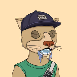 Okay Cats #4110