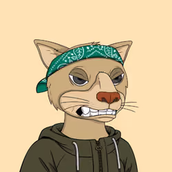 Okay Cats #5101