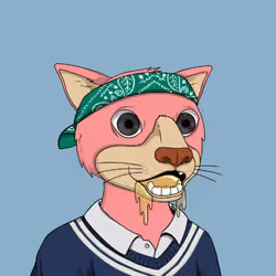 Okay Cats #2491
