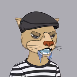 Okay Cats #5276