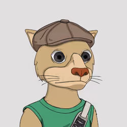 Okay Cats #3891