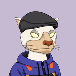 Okay Cats #5272