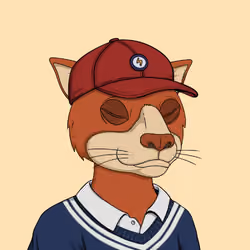 Okay Cats #4951