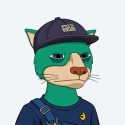Okay Cats #50