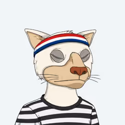 Okay Cats #1393
