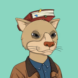 Okay Cats #4291
