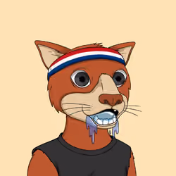 Okay Cats #3892
