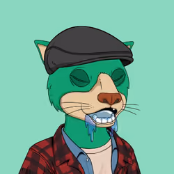 Okay Cats #852