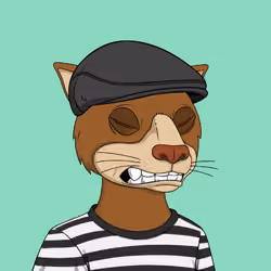 Okay Cats #4899