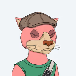 Okay Cats #5402