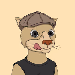 Okay Cats #4861