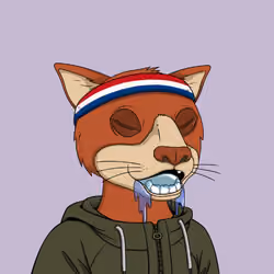 Okay Cats #5356