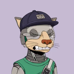 Okay Cats #4135