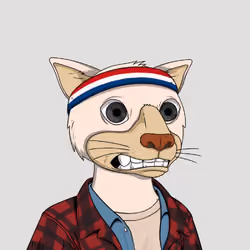 Okay Cats #1864