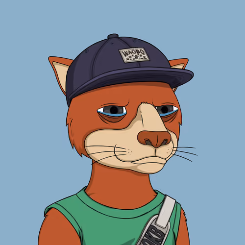 Okay Cats #4108