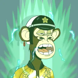 205