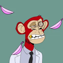 81