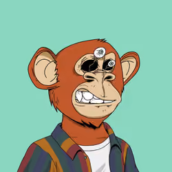 Bored Bears #1836