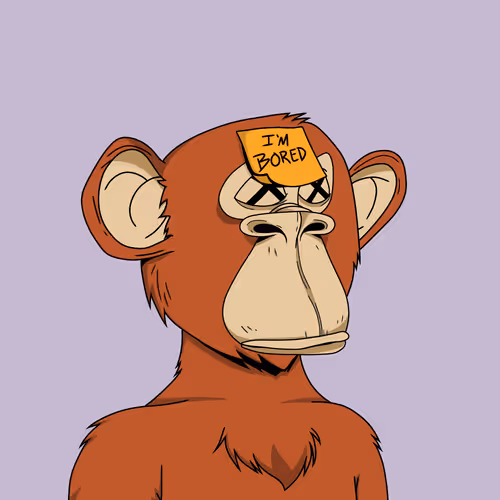 Bored Bears Official