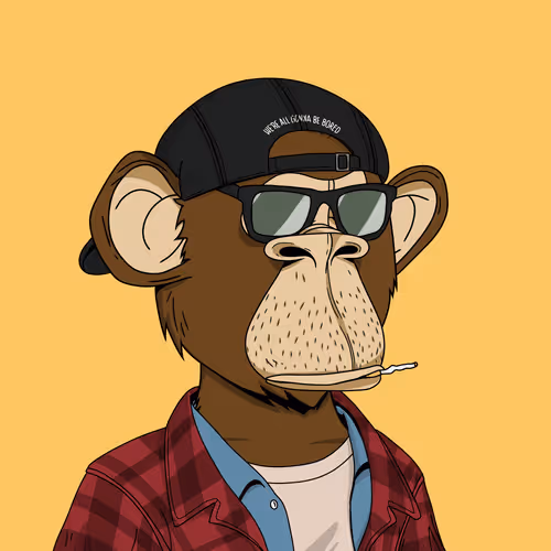 Bored Bears Official